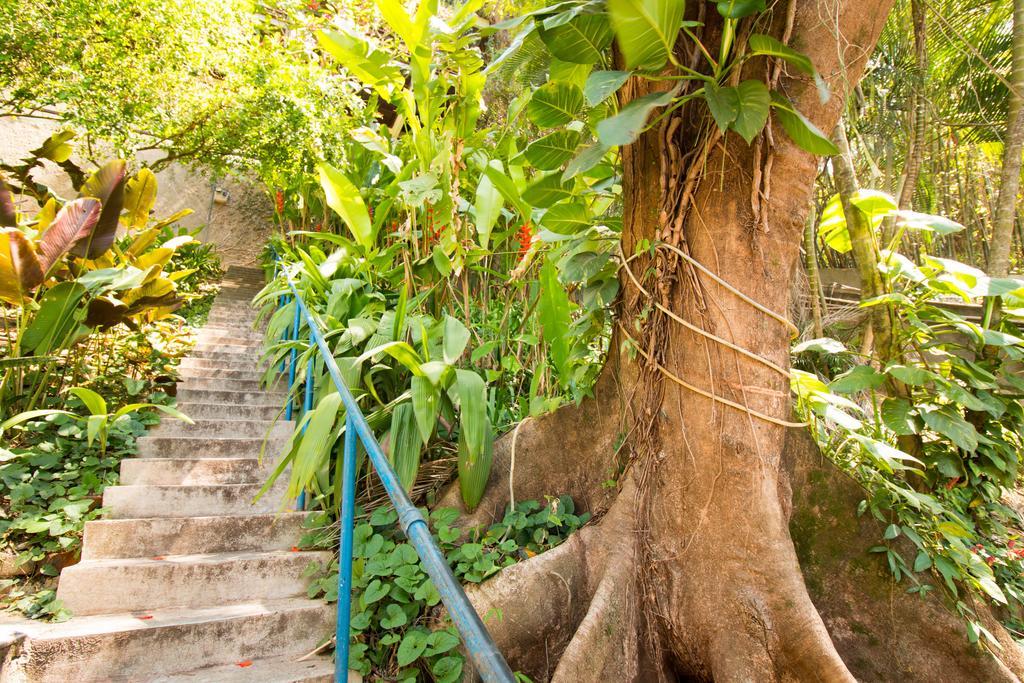 Rio Nature Hostel Рио-де-Жанейро Экстерьер фото